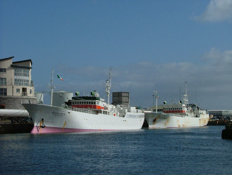 Shotoku Maru and Taiwa Maru